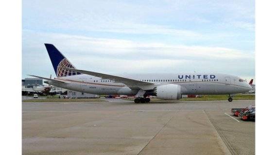 미국의 3대 항공사인 유나이티드항공이 7도 이하, 29.5도 이상일 경우 반려동물 탑승을 금지하는 정책을 내놨다. 사진=구글 이미지