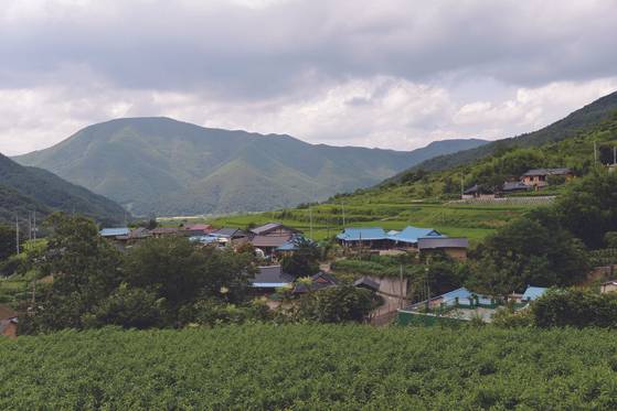 포항 탑정리 산촌마을의 전경. [사진 경상북도, 각 마을]