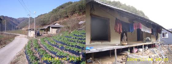 10년 전 단돈 10만원으로 샀던 깊은 산속 토담집. [사진 송미옥]