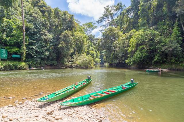 ▲ 울루 템부롱 국립공원