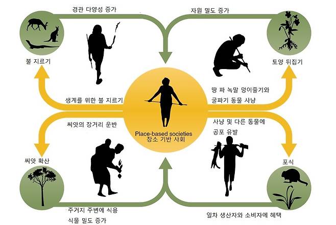 수렵·채취 사회가 주변 생태계와 맺는 상호관계. 레베카 버드 외 (2018) ‘네이처 생태 및 진화’ 제공.