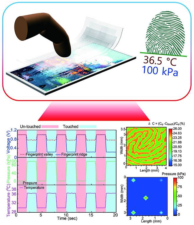 온도와 압력, 지문을 동시에 감지할 수 있는 유연한 투명 지문센서. 울산과학기술대 제공