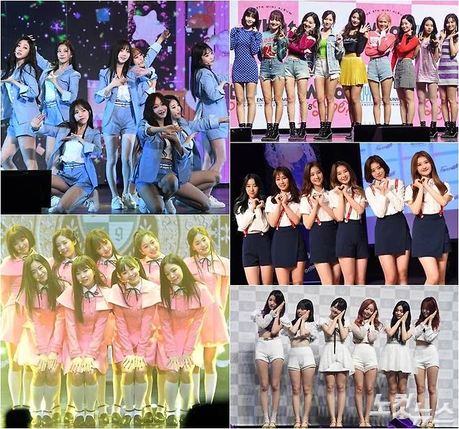 한 해에도 걸그룹은 우후죽순 생겨나고 있다. 왼쪽부터 시계방향으로 러블리즈, 트와이스, 페이버릿, 여자친구, 프로미스나인 (사진=노컷뉴스 자료사진)