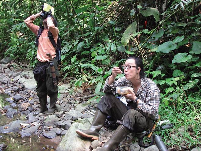 인도네시아 구눙할리문쌀락 국립공원의 밀림에서 긴팔원숭이를 관찰하고 있는 김산하 박사(오른쪽). 밥을 먹으면서도 나무 위의 원숭이로부터 시선을 떼지 못하고 있다. /(주)사이언스북스 제공