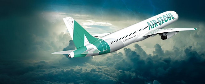 에어서울이 최근 합산 수하물에 부과한 과금이 부당하다며 이용객으로부터 소송을 당해 주목된다. ⓒpixabay·에어서울 제공