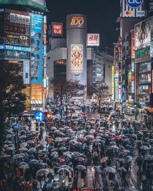 일본 도쿄 [사진=rkrkrk인스타그램]