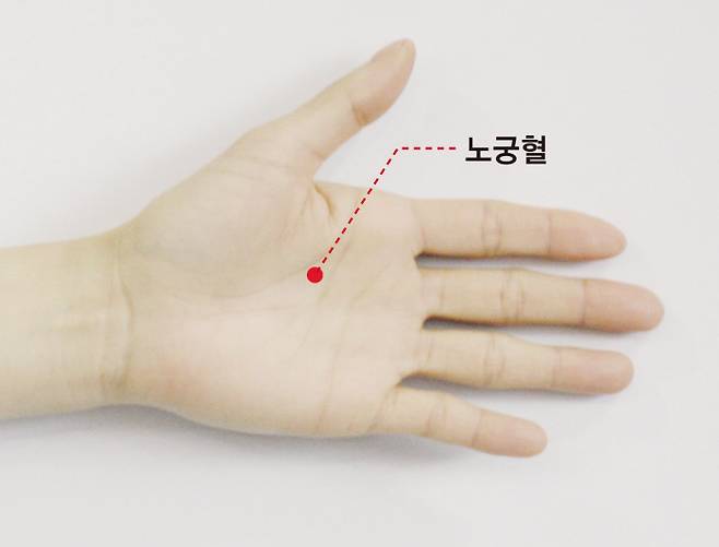 모델=이주하 간호사