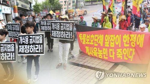 무더위 속 `개식용 찬반대립' 가열…세대결 양상도(CG) [연합뉴스TV 제공]