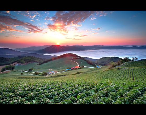 강원도 강릉시 왕산면 대기리 안반데기 마을에서 감상할 수 있는 동해안 일출. [사진 왕산면사무소]