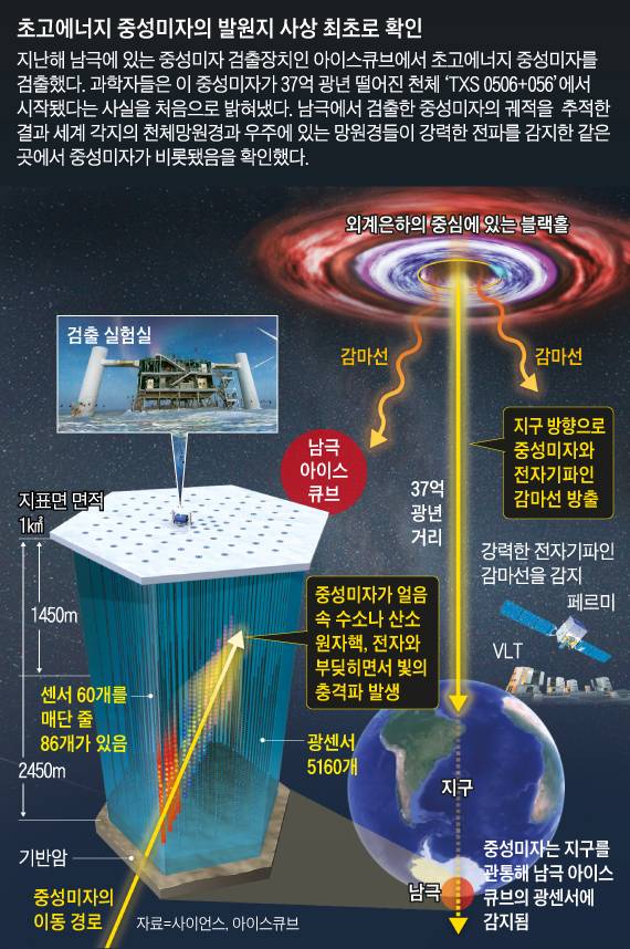 /그래픽=양인성