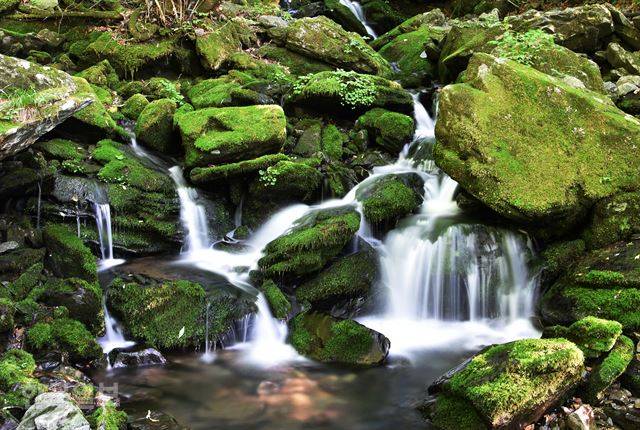 장전계곡 최상류 폭포까지는 차로 갈 수 없고, 피서객들은 폭포 아래 마을에서부터 계곡에 들어가 더위를 식힌다.