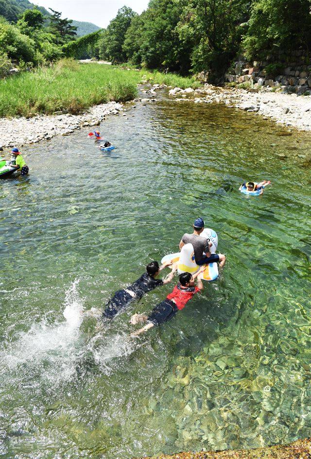 바닥이 훤히 보이는 계곡에서 아이들이 물놀이를 하고 있다.