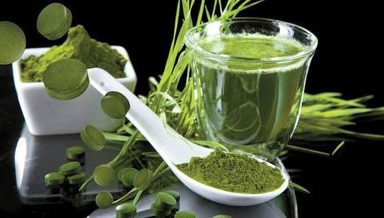 유해 물질을 배출하고 면역력을 높이는 클로렐라의 건강 기능 효과가 입증됐다.