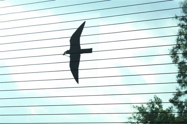 조류 충돌을 막기 위해 새 무늬뿐 아니라 가로 무늬를 촘촘히 넣은 해외 방음벽 사례. 국립생태원 제공.