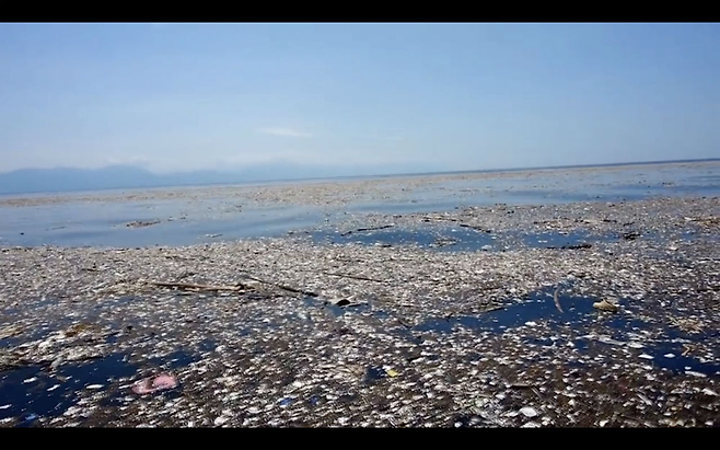 태평양에 생긴, 남한보다 15배 이상 큰 쓰레기 섬(GPGP) (DAL&MIKE)