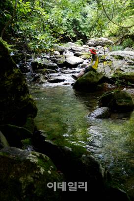 강원도 평창 청옥산 중턱에 숨어 있는 회동계공은 길이 총 8km로 곳곳에 크고 작은 소가 폭포가 어울려 운치를 자아낸다. 사람들의 때가 덜 묻어 오지에 왔다는 생각이 절로 들 정도다. 한여름에도 햇살이 들어오지 않을 만큼 빽빽한 천연림 터널을 갖추고 있어서다.