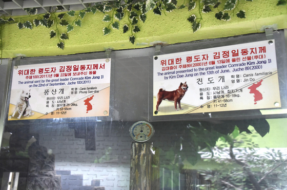 북한 평양 중앙동물원에 설치된 진돗개와 풍산개 안내판. [연합뉴스]