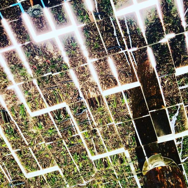 다락옥수는 4m넘는 지붕에 매달린 5,000여개의 미러판 사이로 스며드는 햇빛과 반사된 지상 조경으로 인해 숲 속이 있는 듯한 경험을 안겨준다. /사진제공=조진만 건축사사무소