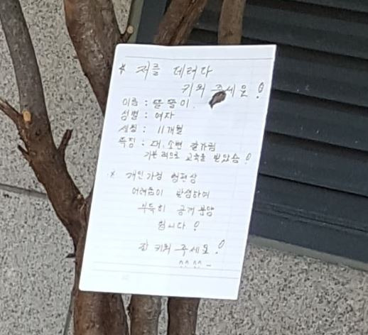 사진=분당 대신 전해드립니다