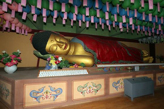 경기도 용인 와우정사에 전시돼 있는 세계 최대의 통나무 와불. 인도네시아 향나무로 만들었다. 최정동 기자