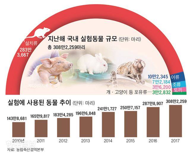 [저작권 한국일보]지난해 국내 실험에 사용된 동물은 모두 308만2,259마리. 8년 전인 2010년 143만8,686마리가 사용된 것과 비교하면 2배가 훌쩍 넘는 수치다. 신동준 기자.