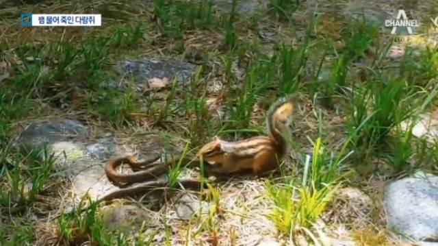 (사진=채널A 캡처)