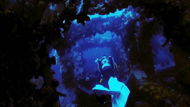 강릉 영진항에서 10분만 배를 타고 나가면 난파선 포인트가 나온다. 미로 같은 난파선을 헤집는 재미가 남다르다. 최승표 기자