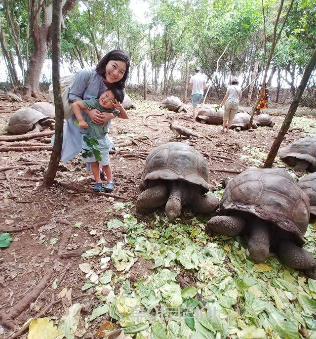 ▲ 창구섬 거북이 서식지. 195살 된 거북이