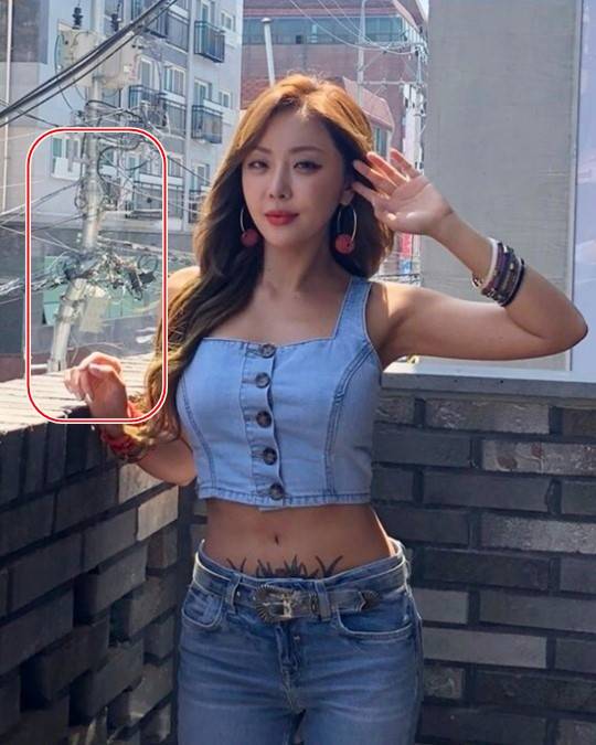 나르샤 인스타그램