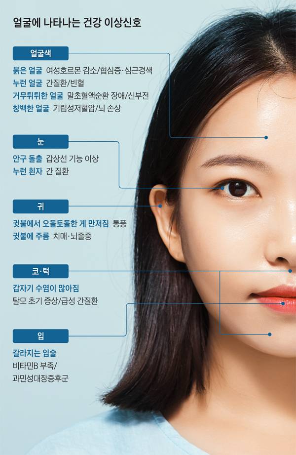 얼굴은 건강을 드러내는 창이다. 평소와 다른 안색이나 눈·코·입·귀의 변화로 건강 문제를 의심할 수 있다. /사진=신지호 헬스조선 기자, 그래픽=박상훈
