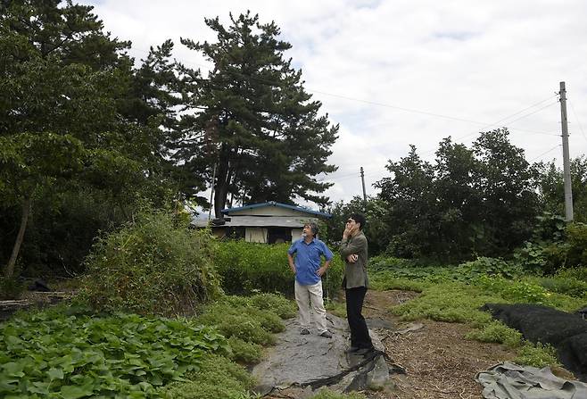 박홍규 영남대 명예교수(왼쪽)가 17일 경북 경산 자택 인근의 텃밭을 둘러보면서 기자에게 작물을 설명하고 있다. 경산/강재훈 선임기자 khan@hani.co.kr