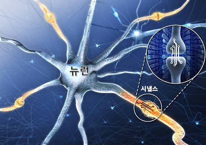 이명재 DGIST 지능형소자융합연구실장 연구팀이 개발한 인공 시냅스 소자 모식도. 인공 시냅스 소자는 인간 뇌의 뉴런과 시냅스 연결 부위에서 시냅스 연결 강도를 조절해 기억의 생성, 저장, 삭제에 이르는 일련의 과정인 시냅스 가소성을 구현할 수 있다.