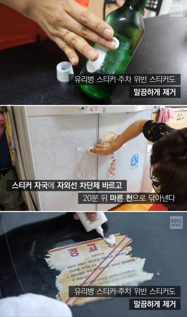 [출처=KBS뉴스 캡처]