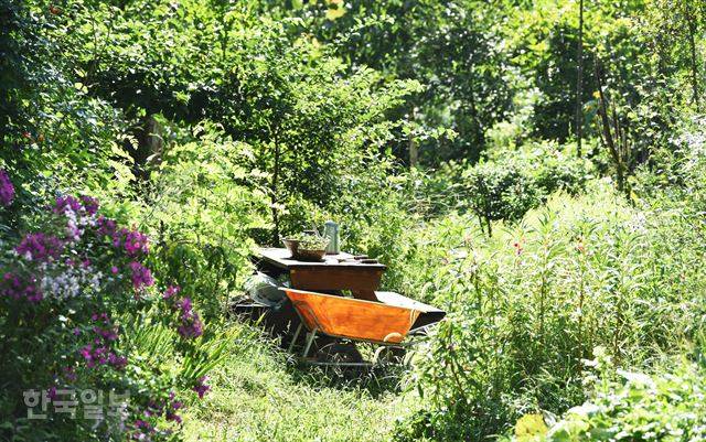 마을 정원은 작은 숲에 들어선 것처럼 평온하다.