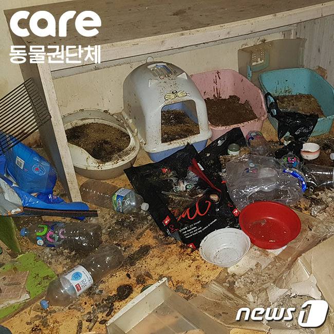 흑이와 다른 고양이들이 살던 집.© News1