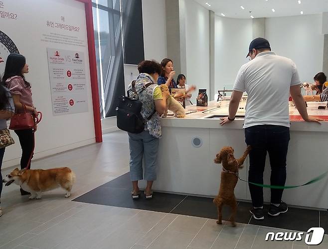 해피댄스 스튜디오 내부 모습. © News1 최서윤 기자