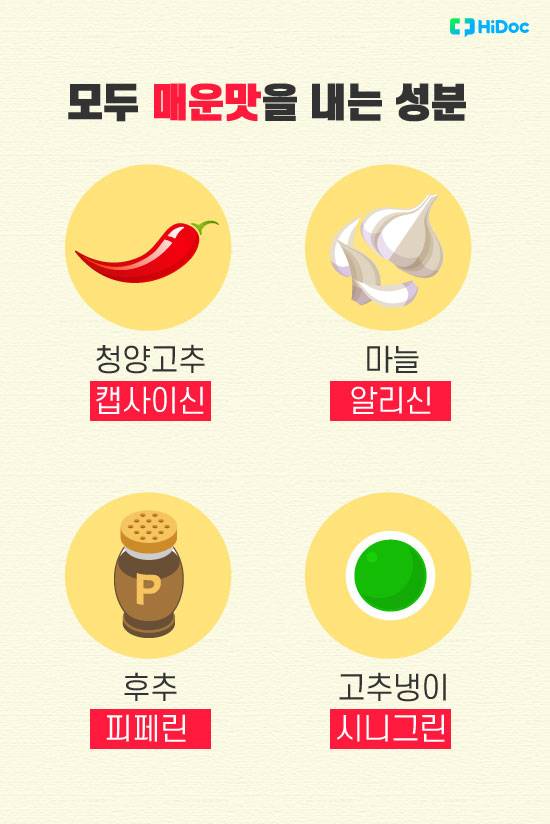 캡사이신 화상6