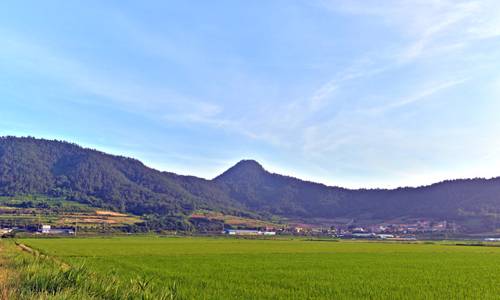전남 장흥 선학동은 이청준의 ‘선학동 나그네’ 배경이 되는 마을이다. 관음봉 산줄기가 학이 날갯짓하는 듯한 모습을 하고 있다.