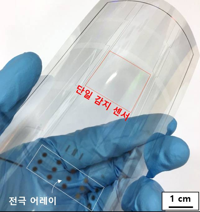 연구팀이 제작한 대면적 7인치 투명 유연 포스터치 센서[제공=KAIST]