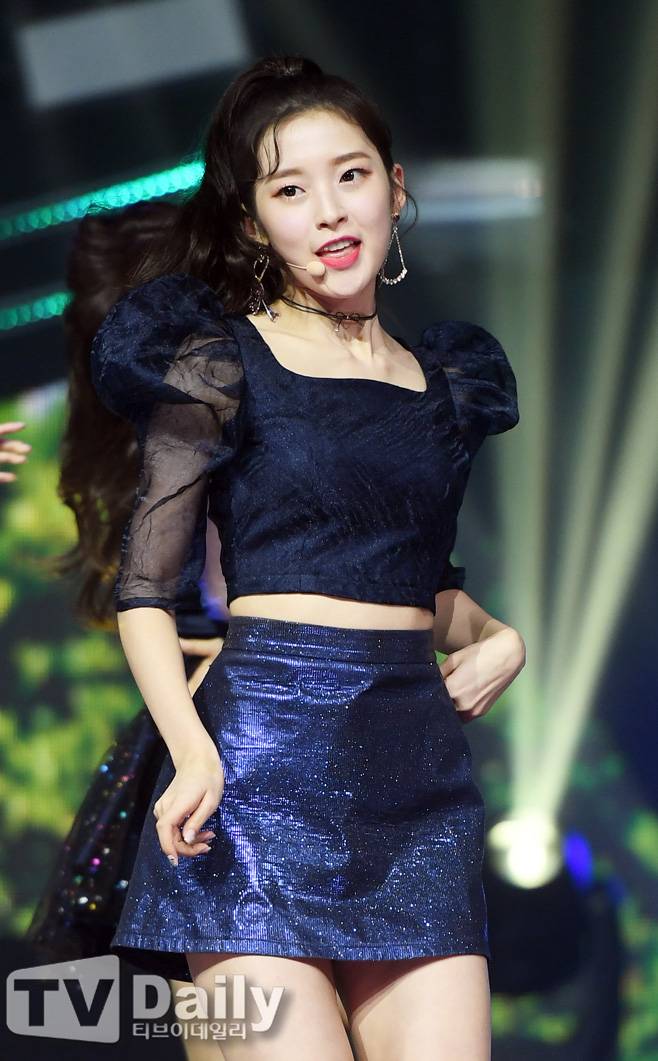 티브이데일리 포토