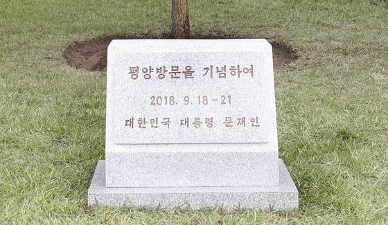 문재인 대통령이 19일 오후 남북정상회담 숙소로 사용한 평양 백화원초대소에 심은 10년생 모감주나무. 이 나무는 한국에서 옮겨져 평양에 심은 것이다. 평양사진공동취재단