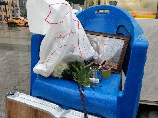 21일 퓨마 분향소는 철거된 상태다. (사진=이승진 기자)