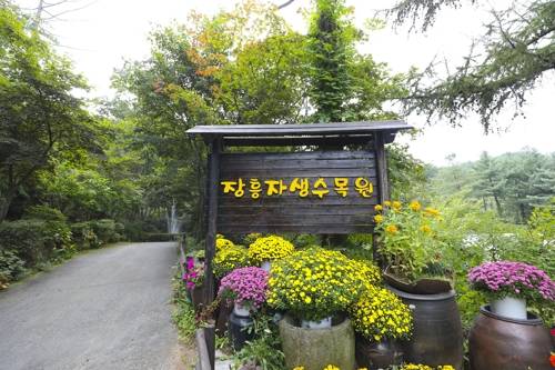 조용한 가을 나들이 공간으로 알맞은 장흥자생수목원.(성연재)
