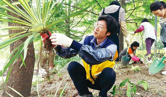 서울숲공원 가드닝 워크숍 프로그램에 참여한 이충신 기자가 9월15일 ‘6번 출입구 정원’에서 식물 포기 나누기를 하고 있다. 정용일 기자 yongil@hani.co.kr