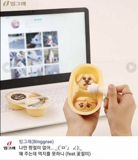 빙과업체 빙그레가 인절미의 인스타그램 '짱절미' 화면 앞에서 자사 제품을 광고하는 모습. 인터넷 커뮤니티 캡처