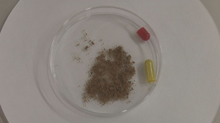 인육캡슐. 뉴시스