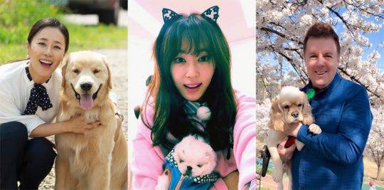 문정희, 강예원, 할리/사진제공=SBS플러스