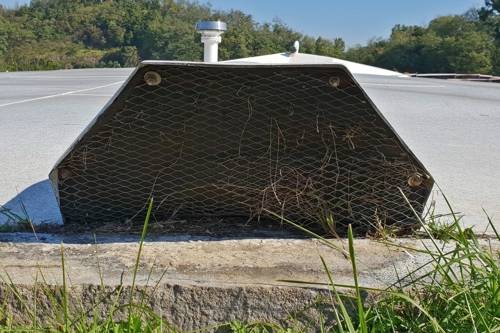 버드 스크린에 잔뜩 붙은 건초더미 [고양경찰서 제공]