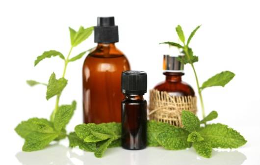민트 오일
