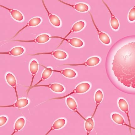 /사진=이미지투데이